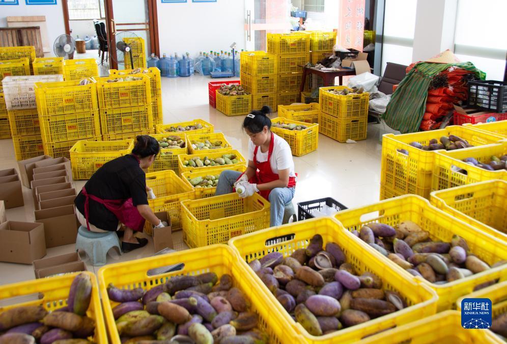 娱乐网站注册送礼金
